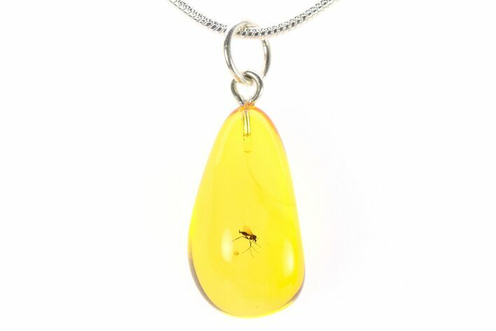 Polished Baltic Amber Pendant (Necklace) - Contains Fly! #288857